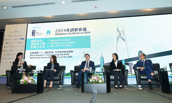 圖 -  2024年調解會議